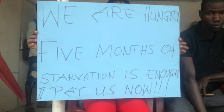 Youth in Afforestation threaten demo over unpaid allowances