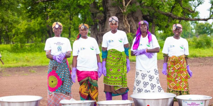 SEHP provides support and training for 1,200 women in shea picking