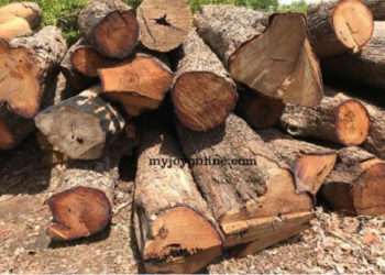 Forestry Commission implementing measures to stop rosewood exports