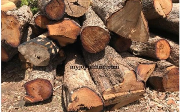 Forestry Commission implementing measures to stop rosewood exports