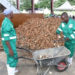 Kwahu Afram Plains South to get a cassava processing factory