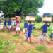 Cancel Free SHS! It is causing teenage pregnancies- Minority roars at Government
