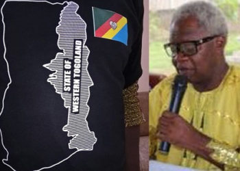‘Independent’ Western Togoland heads to UN for recognition