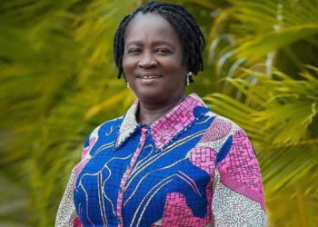 EXPOSED: NDC members lied on Professor Naana Opoku-Agyemang’s academic qualifications