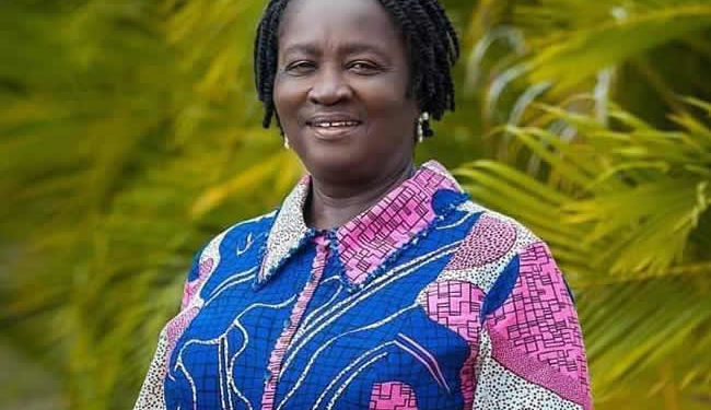 EXPOSED: NDC members lied on Professor Naana Opoku-Agyemang’s academic qualifications