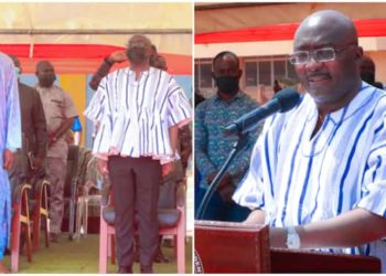 Bawumia Launches $54.5m Climate Change Project to Protect Shea Farming