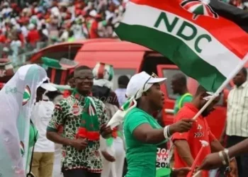 E-levy: NDC misleading their supporters – NPP officer