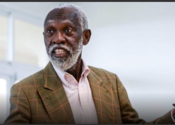 Accept E-levy or pay it in other ways – Adei tells Ghanaians