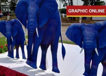 See all the 15 newly-elected NPP regional chairmen (FULL LIST)