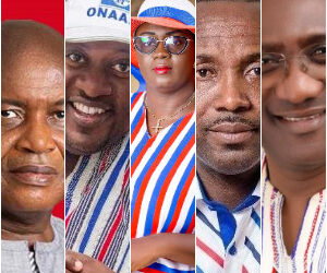 Names of all the 50 NPP members who have picked up forms for executive positions