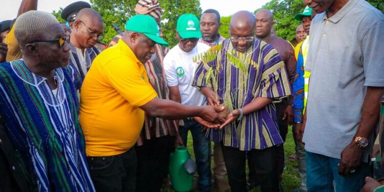 Vice President Bawumia Joins the Tree Planting exercise
