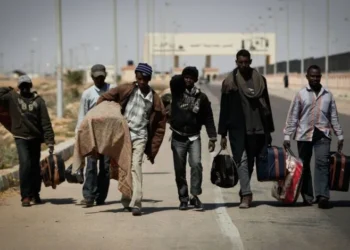 Most young Africans want to leave continent – survey