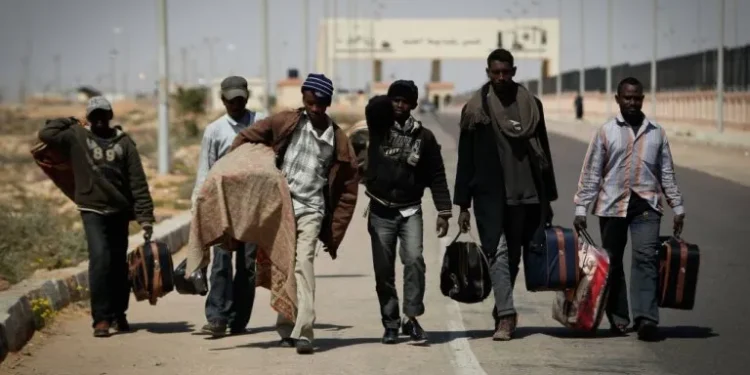 Most young Africans want to leave continent – survey