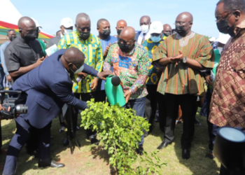 Green Ghana Day: Mahama, Asantehene, Chief Imam to spearhead tree planting