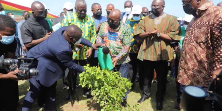Green Ghana Day: Mahama, Asantehene, Chief Imam to spearhead tree planting