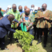 Green Ghana Day: Mahama, Asantehene, Chief Imam to spearhead tree planting