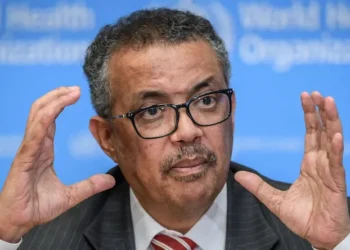 WHO: African states report 1,400 monkeypox cases