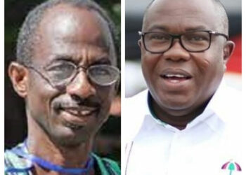 Aseidu Nketia wins NDC chairmanship race.