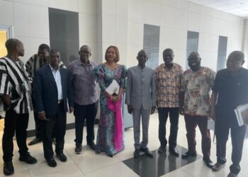 EC pulls out of NDC primaries until…