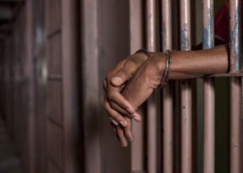 17-year-old car spraying apprentice remanded for rape