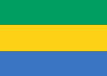 Gabon suspended from African Union following a coup