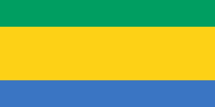 Gabon suspended from African Union following a coup