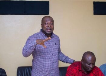 #OccupyJulorbiHouse: There was no concrete basis for 3-day demo – NPP Youth Wing