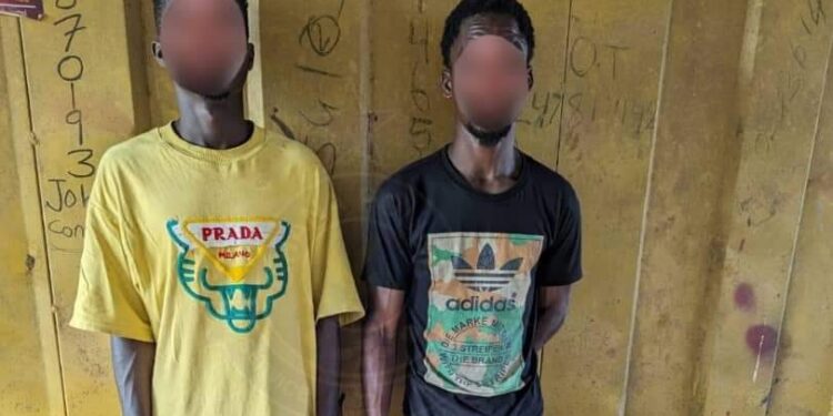 Police arrest suspects in viral video threatening to harm victims during robbery